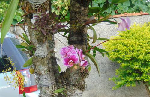 Rancho do Colega - Foto 16