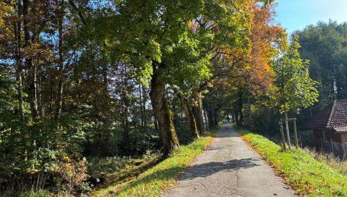 Ferienwohnung Eckis Eck - Foto 3, Other