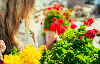 Birds Bay Resort - Foto 20