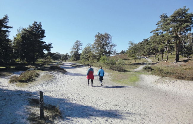 Comfortable Chalet Near Brunssummerheide - Photo 24