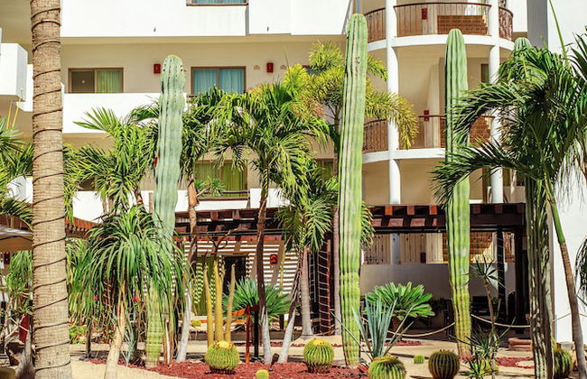 Hotel Santa Fe Loreto by Villa Group - Foto 80