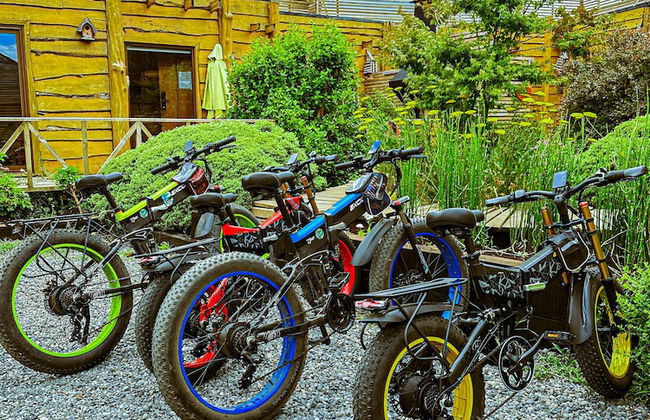 Cabañas Pewma Futrono - Foto 62