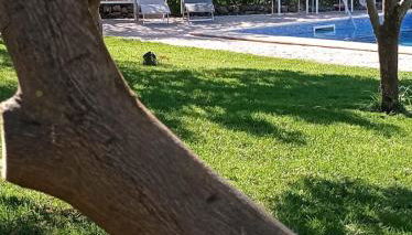 Monte Papa Figos - Foto 5