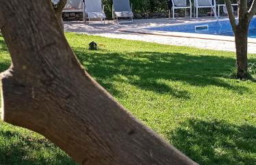 Monte Papa Figos - Foto 5