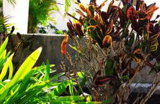 Paradise Ocean Suite - Foto 19