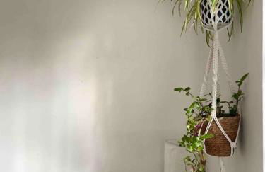 Linnet House - Relaxing - Leafy - Whole Apt- 2 Bed - Foto 15