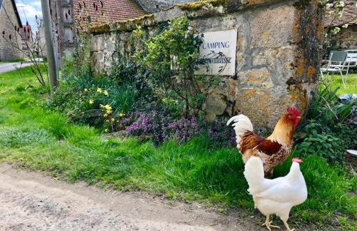 Lovely rural and quiet farmhouse with natural swimming lake - Foto 23