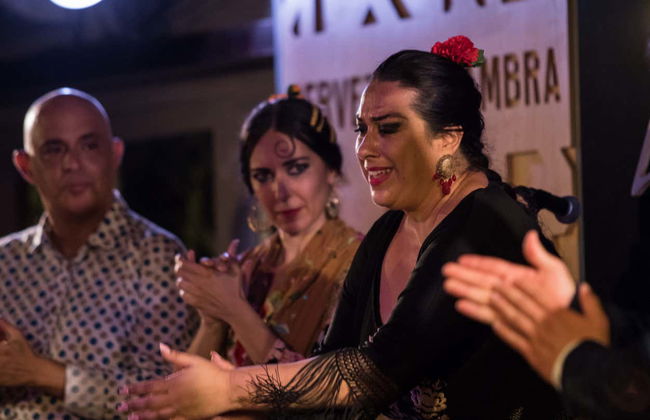 Jardines de Zoraya Flamenco Tablao - Photo 3