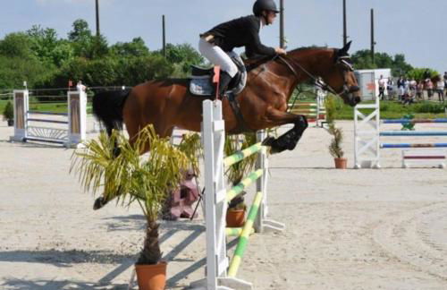 Élégance et confort à Chartres - Foto 44