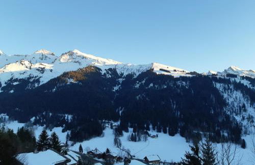 Le Soladret - 2 pièces 4 étoiles - Vue extraordinaire sur les Aravis - Foto 31