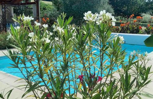 Chalet cosy avec piscine en campagne - Photo 17