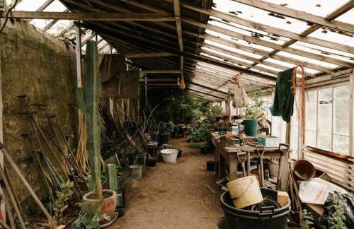 CRESSY HALL - Historic Grade II Listed Manor, Gorgeous Topiary Garden - Foto 65