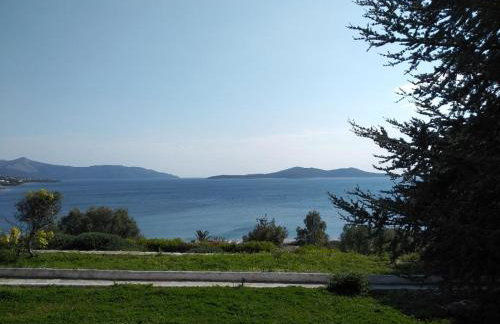 Blue Horizon Retreat - Foto 29