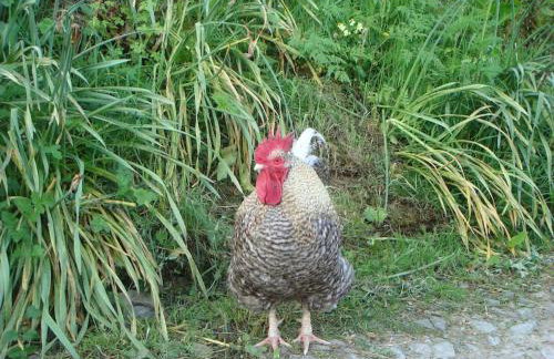 A Tranquil Retreat for Two - Foto 20