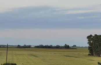 LE FLAMANT ROSE - Foto 21