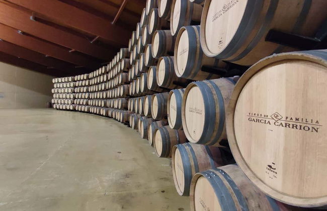 Visita della cantina Viña Arnáiz - Foto 3