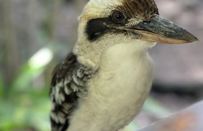 Serenity on Magnetic - Foto 32