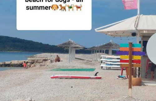 Apartman Karla - Foto 25