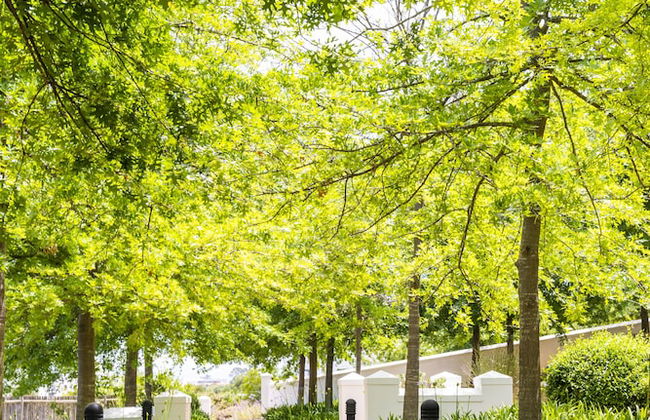 De Zalze Lodge - Foto 77