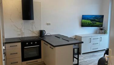 Apartament Kaszmir Rybno - Foto 5, stove, dishwasher