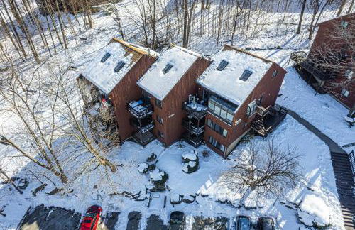 Skylift Lodge - Luxury Mountain Creek family condo - Foto 33