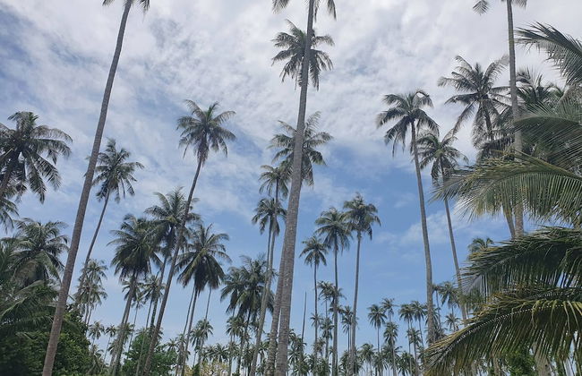 Comfortable Island Suites With Beautiful View and Balconies With Kitchenette - Foto 18