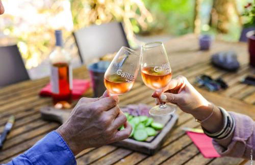 Les Hauts de Jeanvert - Gite de Charme - Piscine - Gaillac - Foto 17