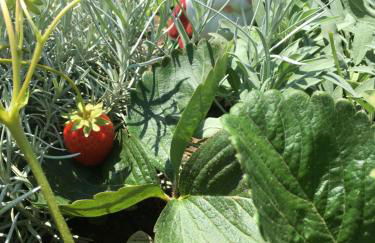 Le Clos Charmaine - Foto 32