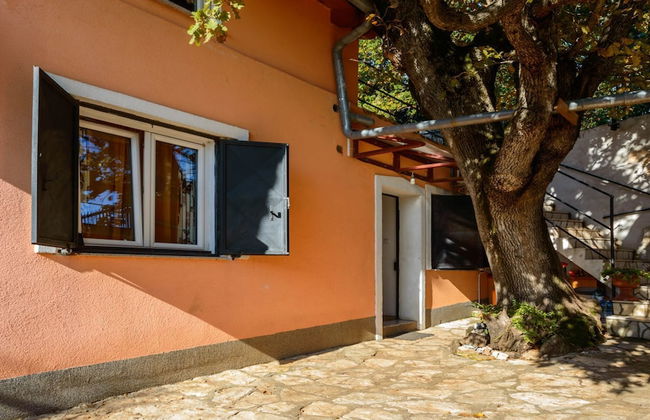 Holiday House Roses - Foto 17