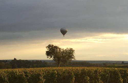 La Maison du Clos du Roi - Foto 25