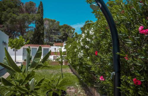 17 L Olivier - Foto 19