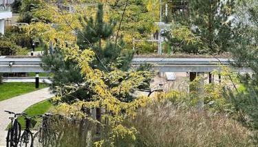 Superbe appartement proche de Strasbourg - Foto 5