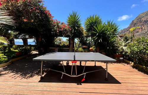 Bela Vigia - Foto 50