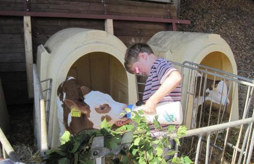 Gschwandnerhof - Foto 23