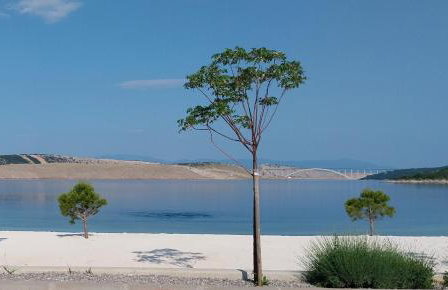 Apartment Tušek - Foto 46