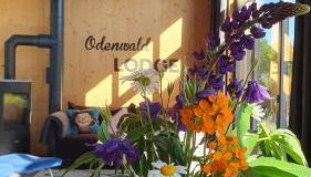 Odenwald-Lodge mit Infrarotsauna und E-Ladestation "Haus Purpur" - Foto 4