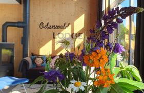 Odenwald-Lodge mit Infrarotsauna und E-Ladestation "Haus Purpur" - Foto 4