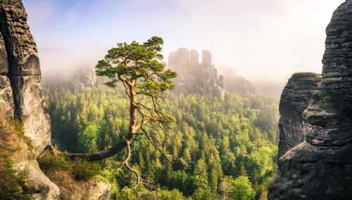 Ferienquartier- Forsthaus - Foto 2