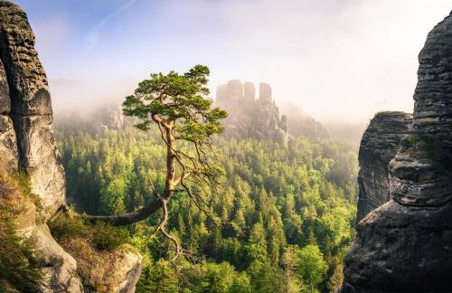 Ferienquartier- Forsthaus - Foto 2