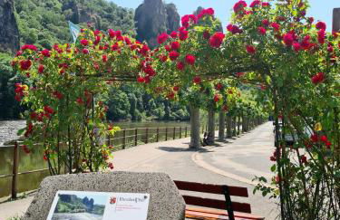 Wohnung mit Blick auf den Rheingrafenstein - Foto 10