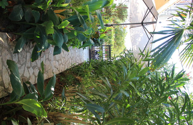 Villa Nefeli - Foto 13