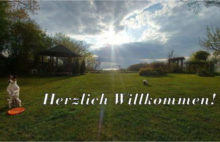 Villa Beata - Foto 31