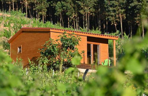 Quinta da Aldeia Nova - Foto 32