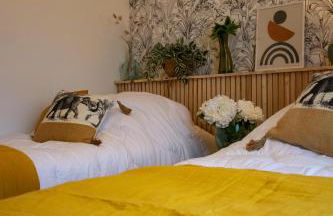 Le colibri - Photo 24