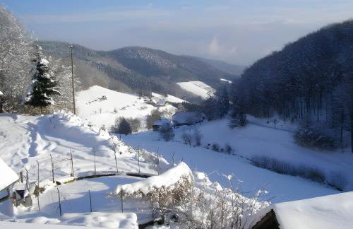 Heizmannshof - Foto 5