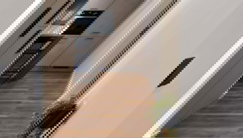 Luxury Slatine Apartments With Terrace and Garden - Foto 1, Vestíbulo