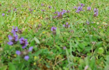 Notre Refuge - Foto 19