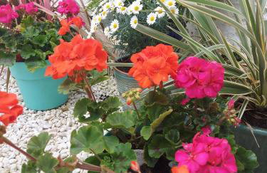 Seaclusion - Foto 37