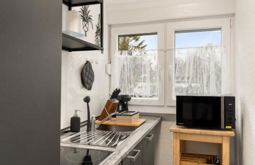 EasyStay1 Krefeld Fischeln 4Pers Switch TV Disney+ - Foto 10