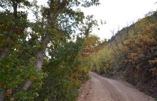 The Hideaway Concealed Cabin East Zion & Bryce - Photo 32